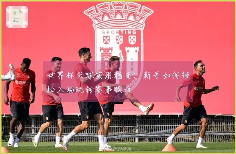 世界杯买球实用指南：新手如何轻松入场玩转赛事投注